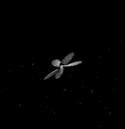 Creative Coding, ASCII Flower