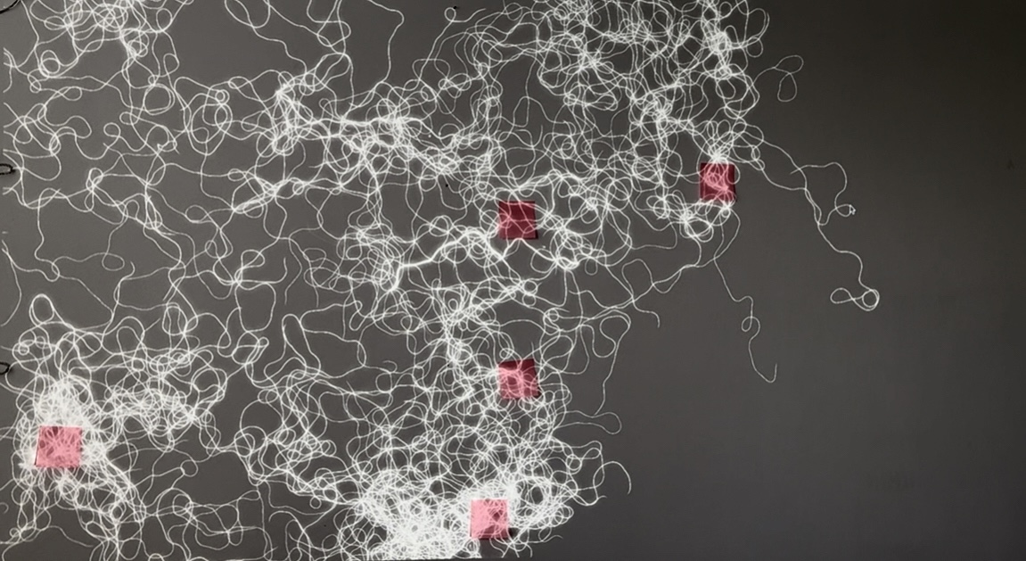 Mycelium Network